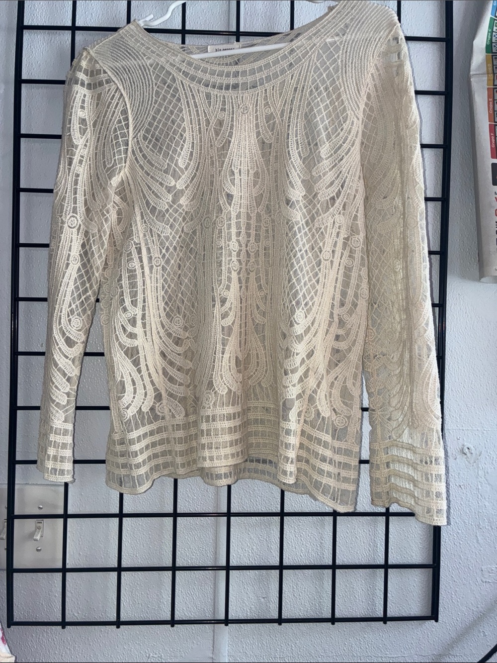 Blu Pepper Cream Lace Long-Sleeve Top